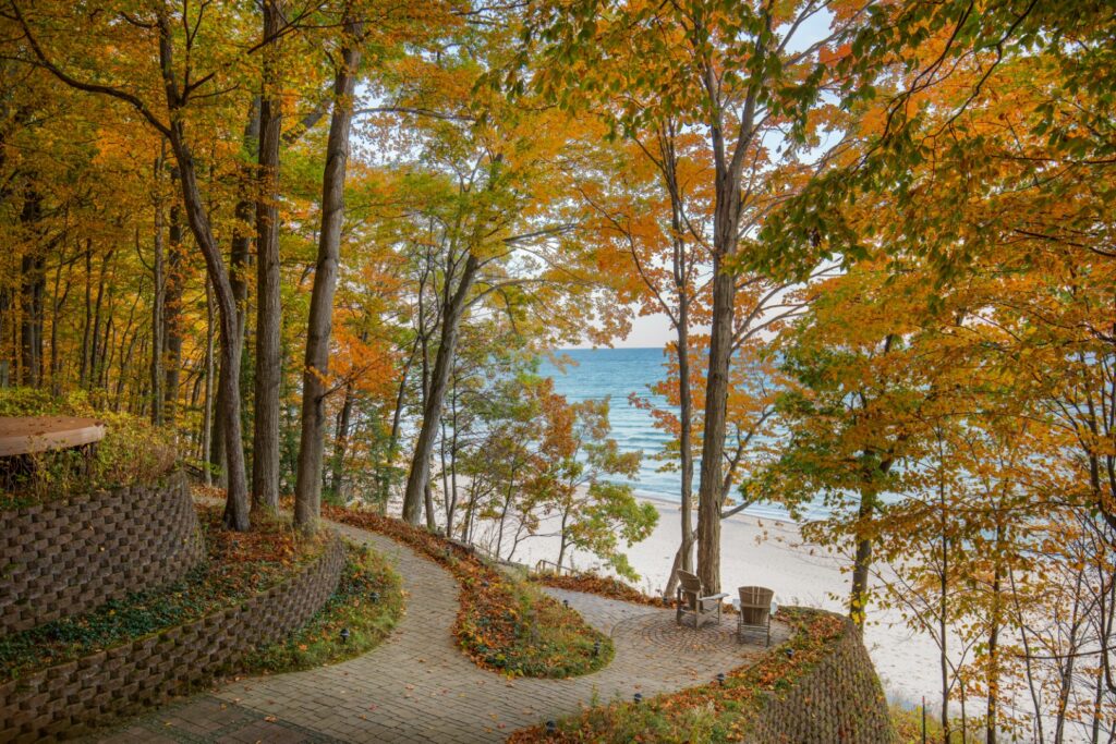 Beach view through autumn forest trees