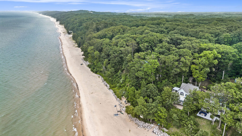 Aerial view of forest and sandy beach shoreline