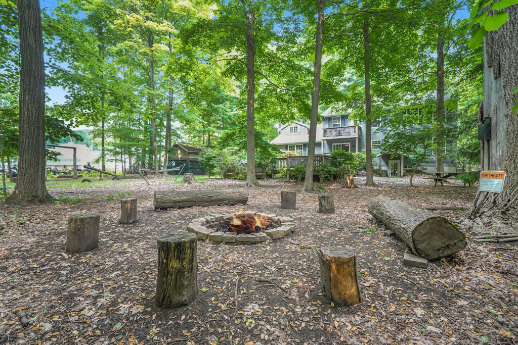 Backyard fire pit surrounded by trees and cabin