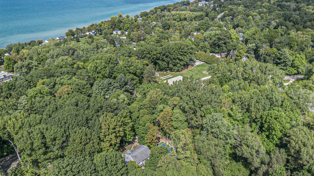 Aerial view of forest near blue lake